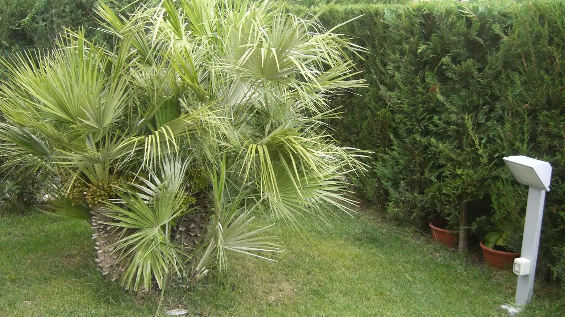 Giardino Zen Loano Apartment Borghetto Santo Spirito